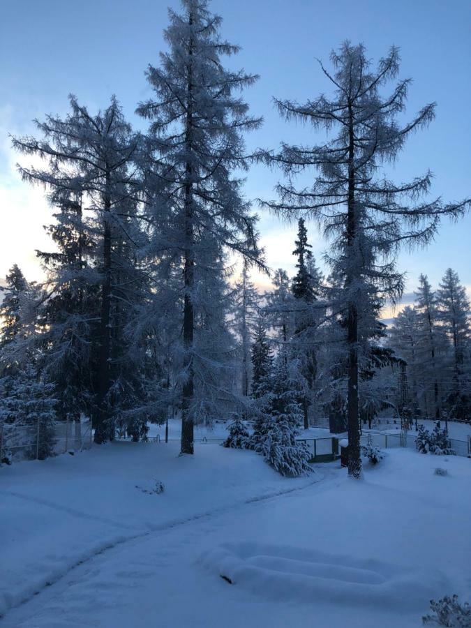 Vila Horec, Vysne Hagy Vysoke Tatry Luaran gambar